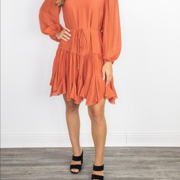 Rust Longsleeve Textured Dress - Picture 2 of 5